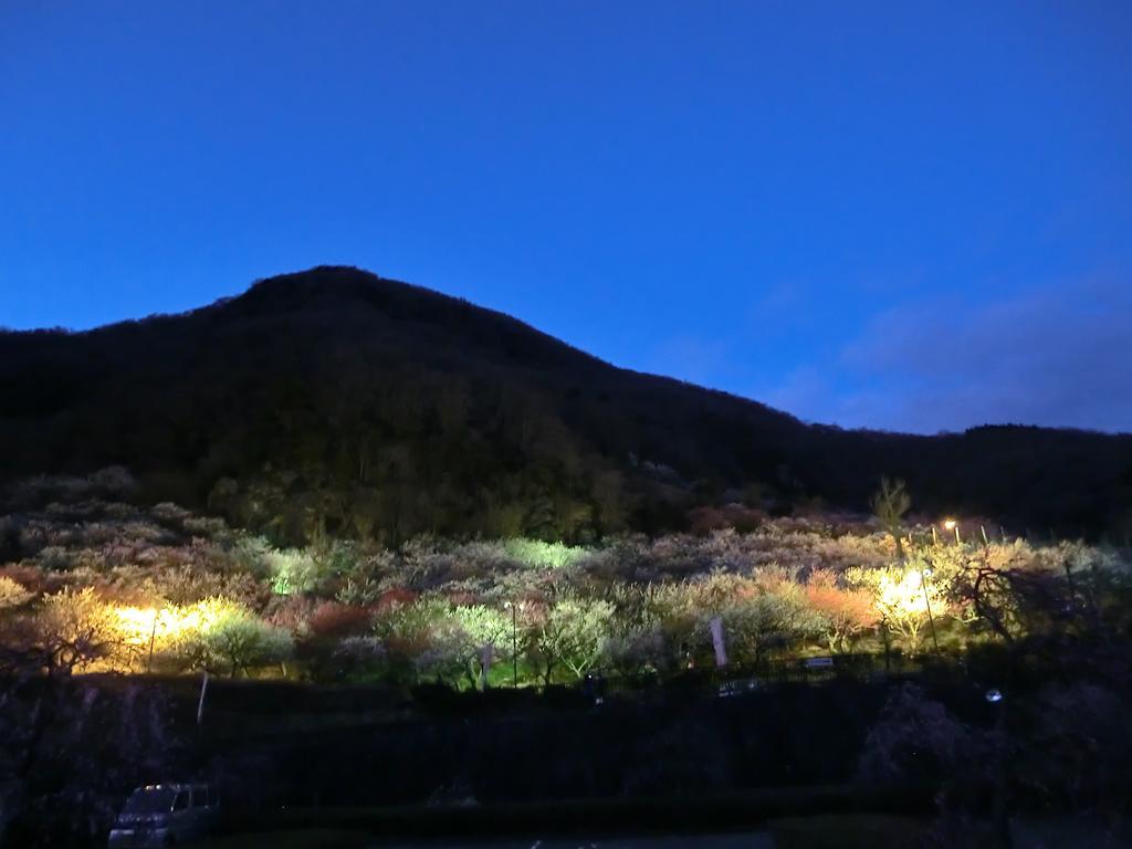 Yugawara Onsen Kawasegien Isuzu Hotel Atami  Εξωτερικό φωτογραφία