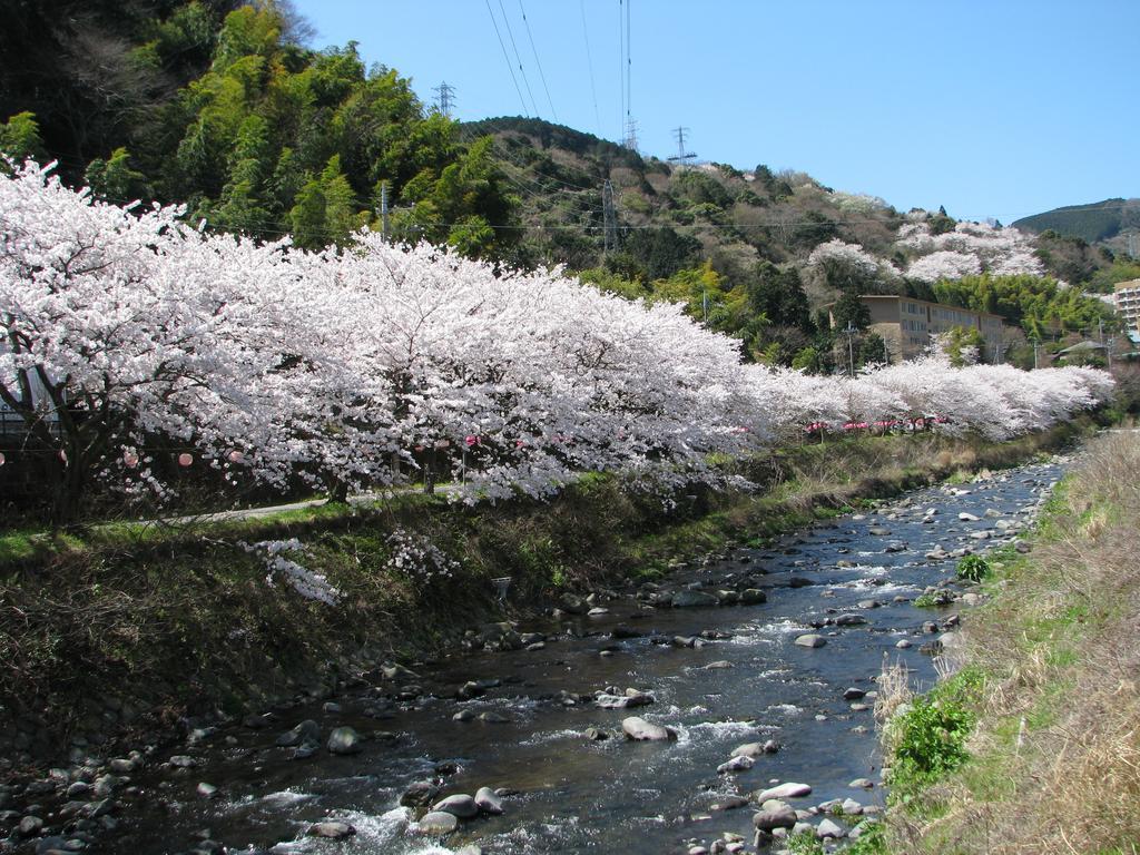 Yugawara Onsen Kawasegien Isuzu Hotel Atami  Εξωτερικό φωτογραφία