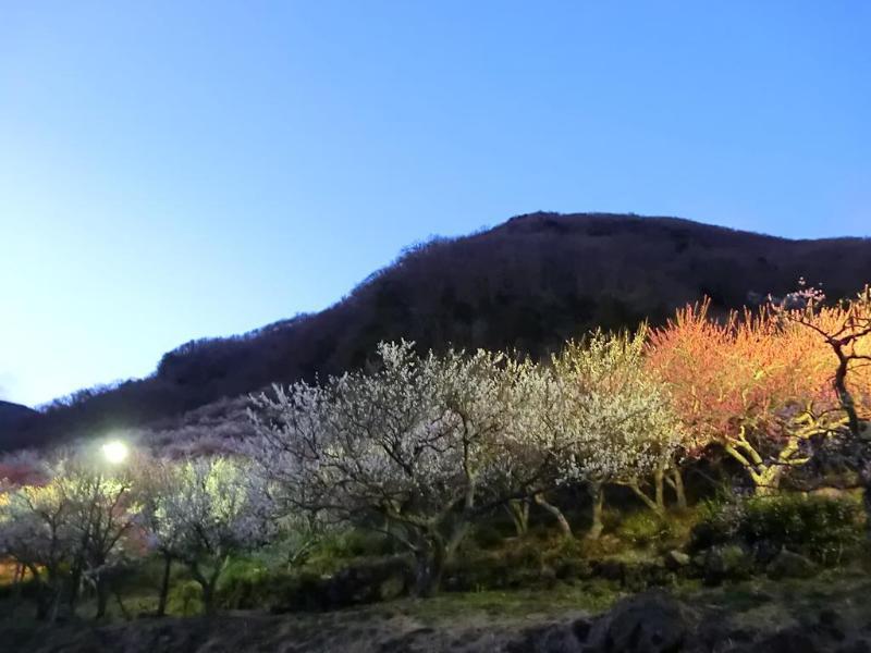 Yugawara Onsen Kawasegien Isuzu Hotel Atami  Εξωτερικό φωτογραφία